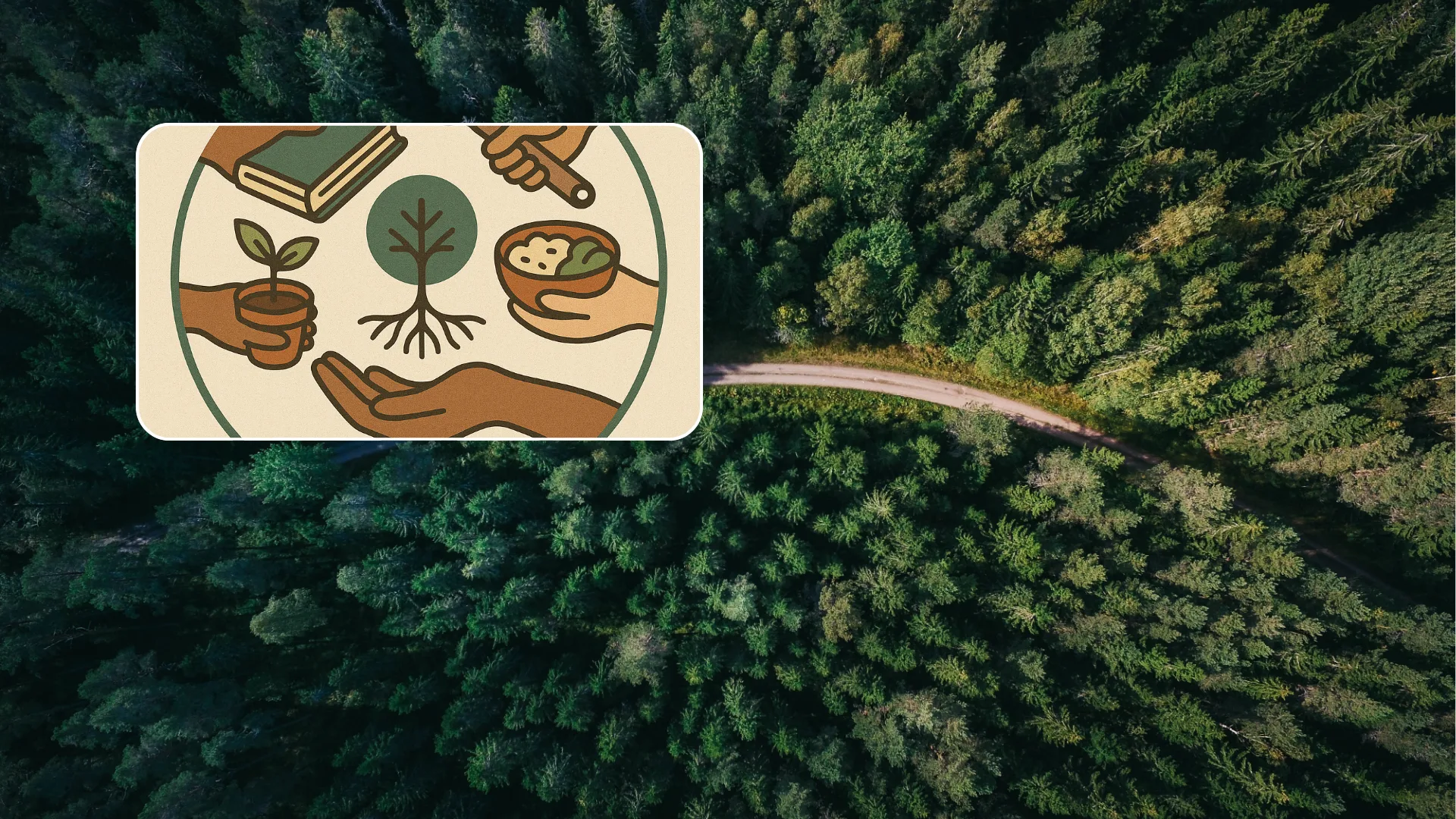 Honouring reciprocity. Illustration of hands exchanging seeds, books, and harvest over a forest background.