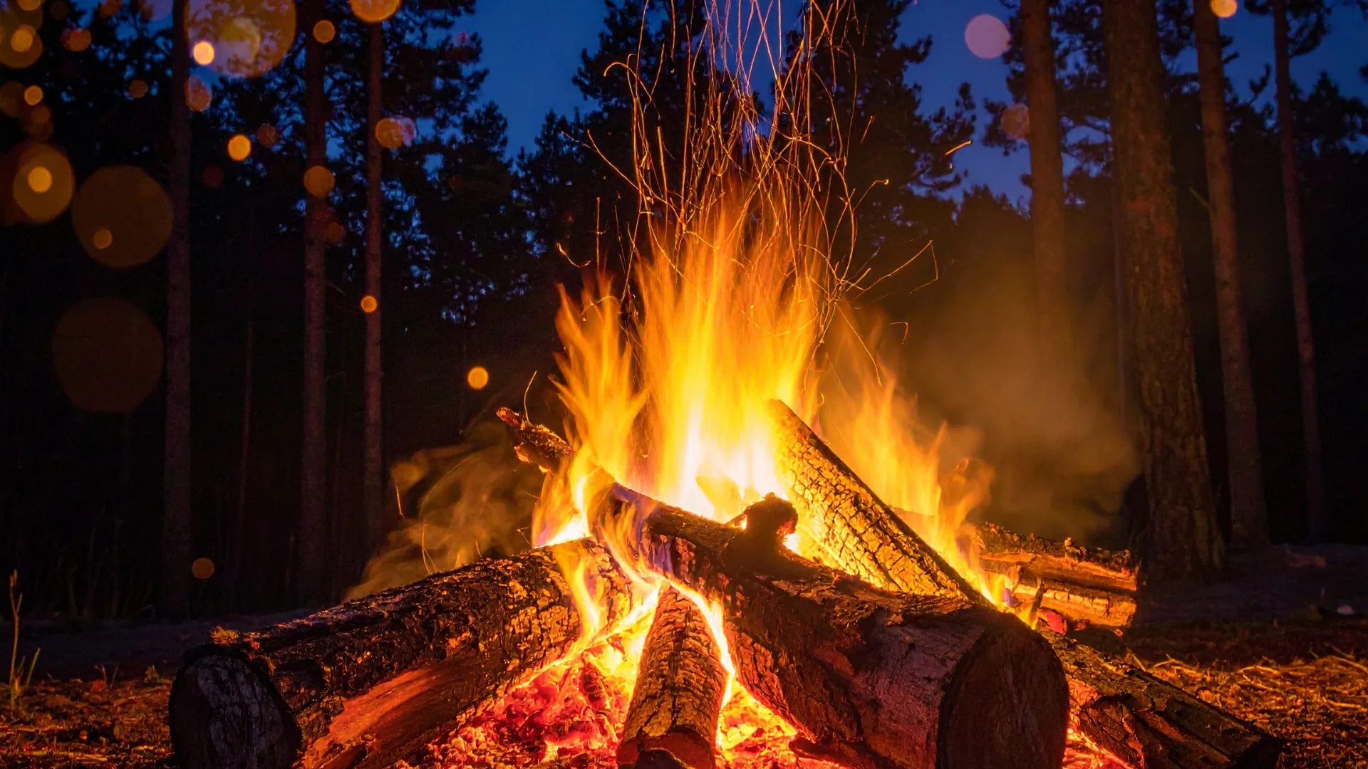 Bonfire at night with sparks rising into a dark forest