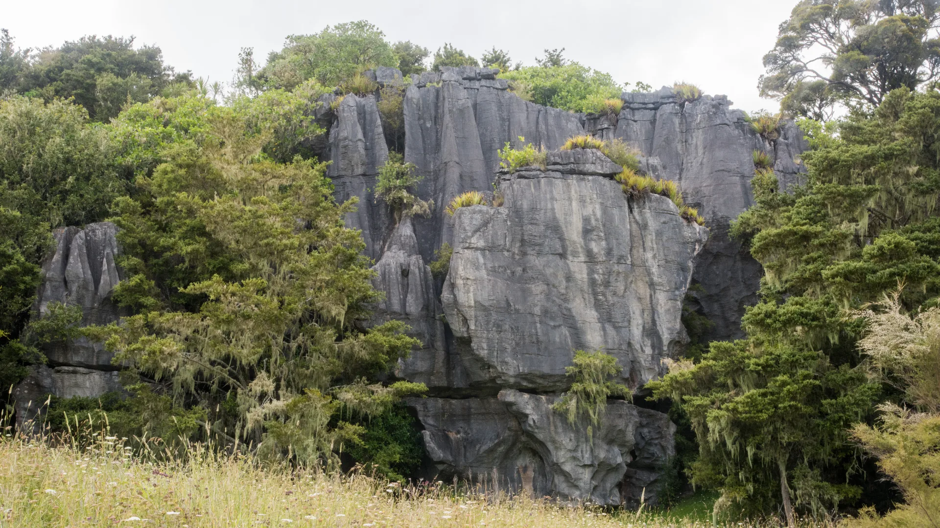 Rugged stone outcrop framed by trees and grass